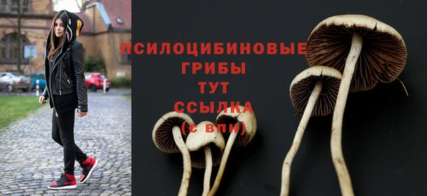 бошки Тихорецк
