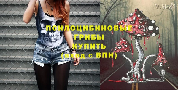 экстази Гусь-Хрустальный
