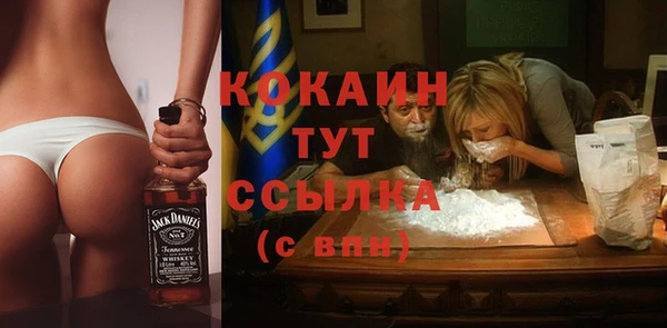 кокс Гусев