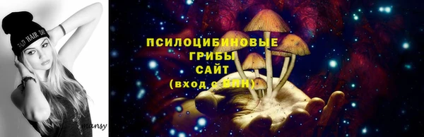 кокс Гусев