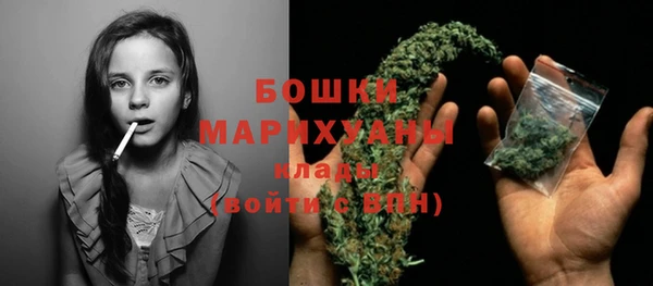кокс Гусев