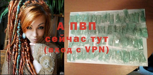 кокс Гусев
