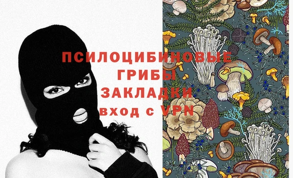 кокс Гусев