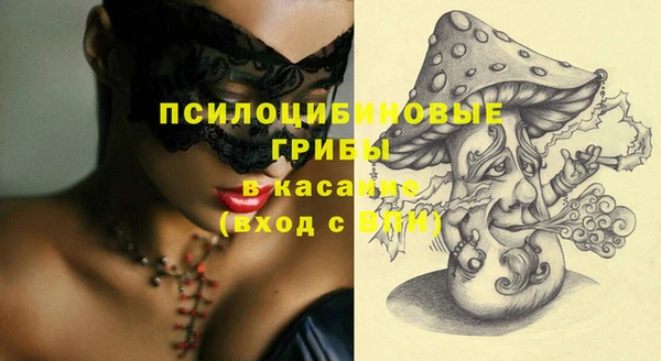 экстази Гусь-Хрустальный