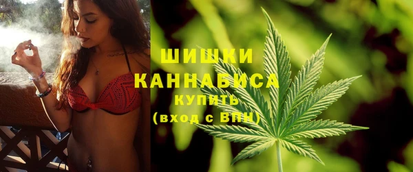 кокс Гусев