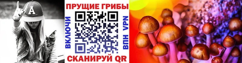 Галлюциногенные грибы Psilocybe  сколько стоит  дарк нет телеграм  Пересвет 